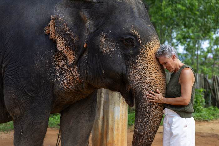 Azamara Cruises Elephant Sanctuary in Thailand © Jenna Lyn, Azamara Cruises2.jpg